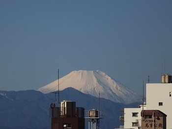 Mt.JPG